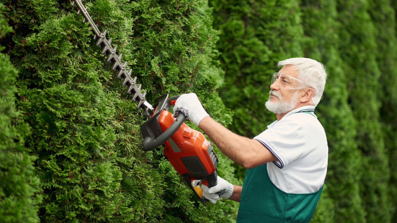 a man providing tree service by cutting a hedge