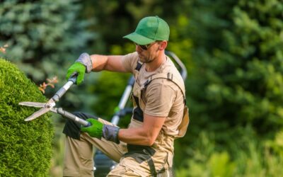 The Significance of Investing in Landscape and Tree Service
