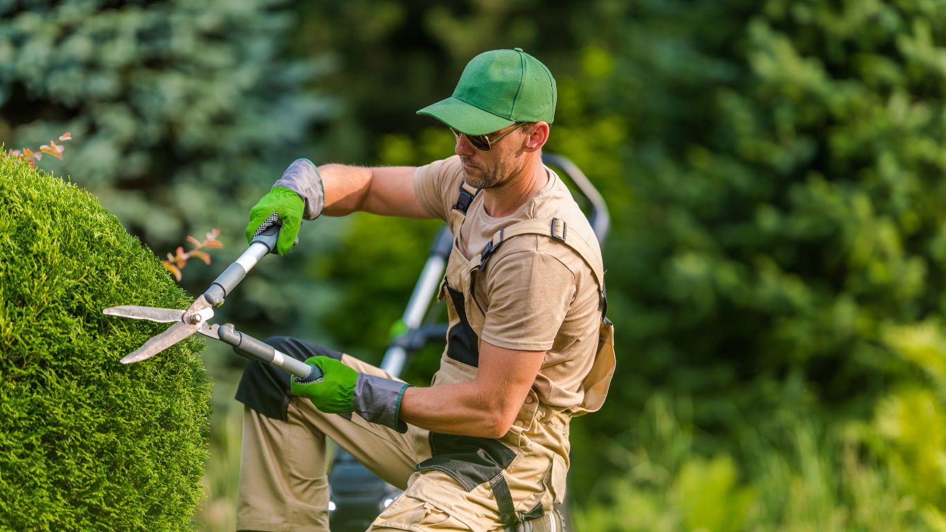 a man trimming the bush