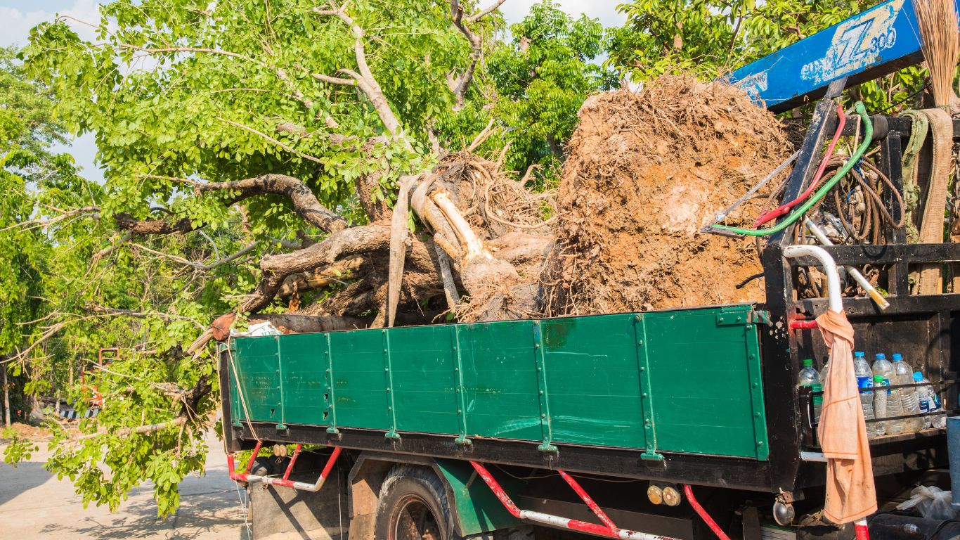 landscape debris removal servicing truck