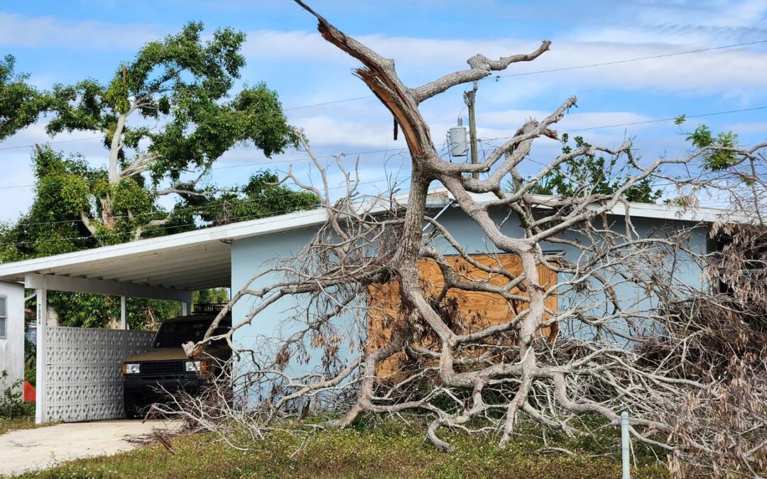 The Dangers of Post-Storm Debris and Why You Need Expert Tree Debris Removal