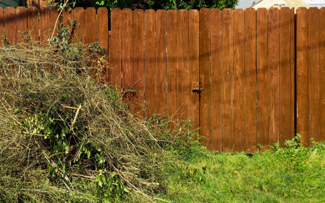 Keeping Florida Yards Beautiful with Expert Tree Debris Cleanup