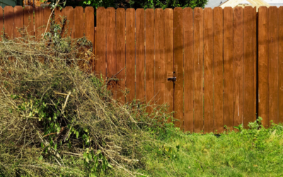 Keeping Florida Yards Beautiful with Expert Tree Debris Cleanup