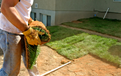 Breathe Life Into Your Florida Yard with Climate-Smart Landscaping
