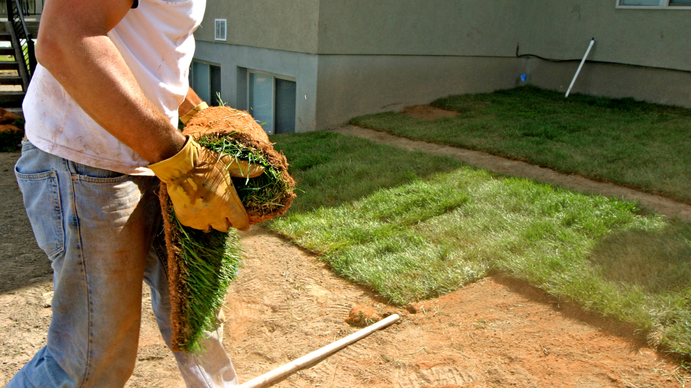 A person laying sod in a yard, showcasing climate smart landscaping techniques to improve water efficiency and reduce maintenance.